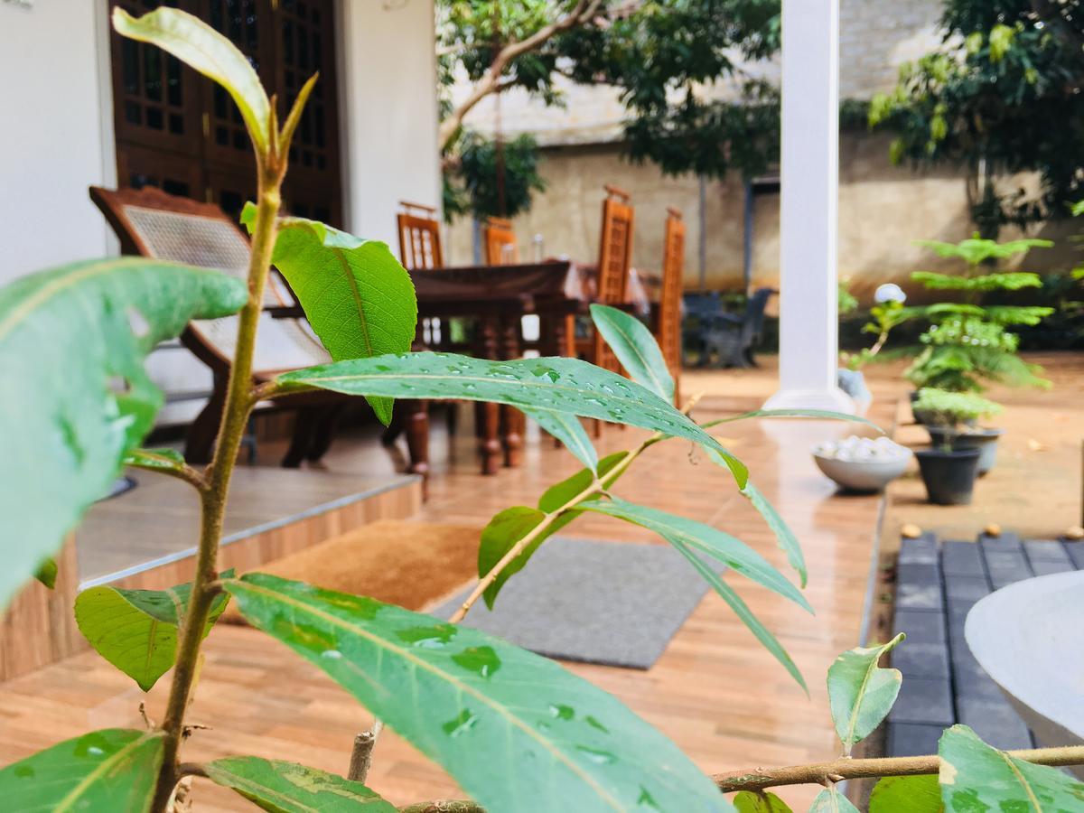 Perfect Hideout Hotel Dambulla Ngoại thất bức ảnh