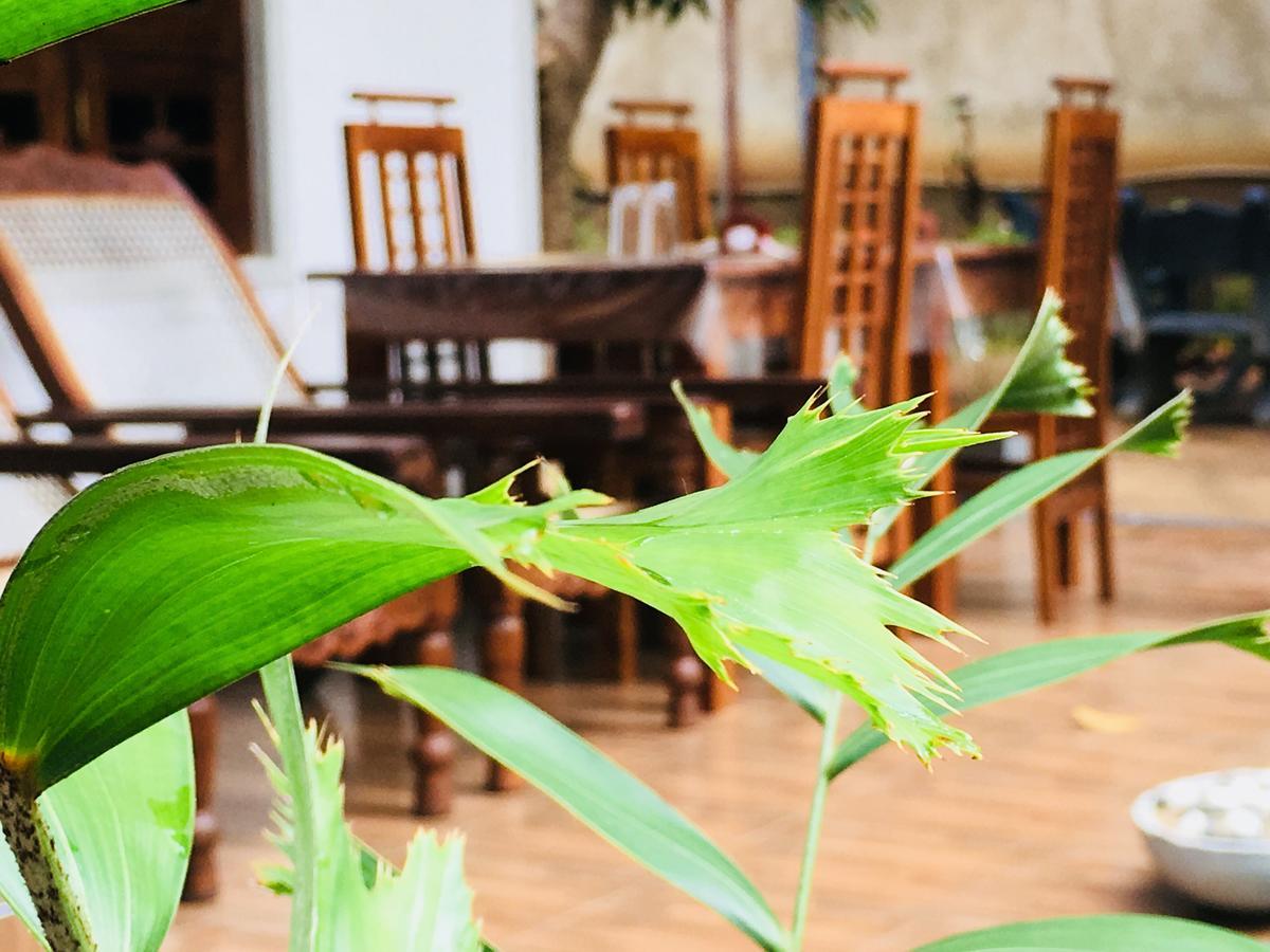 Perfect Hideout Hotel Dambulla Ngoại thất bức ảnh