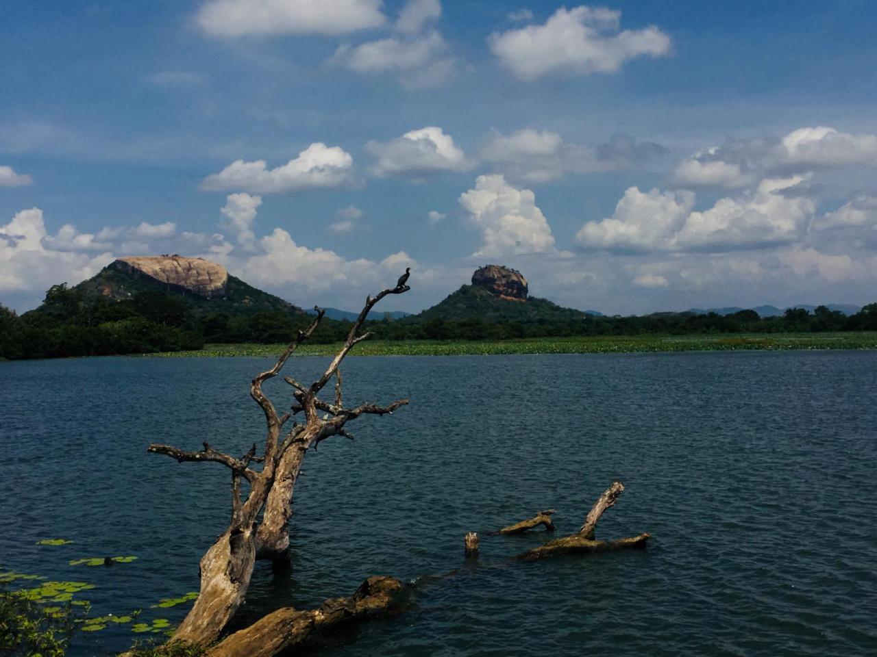 Perfect Hideout Hotel Dambulla Ngoại thất bức ảnh
